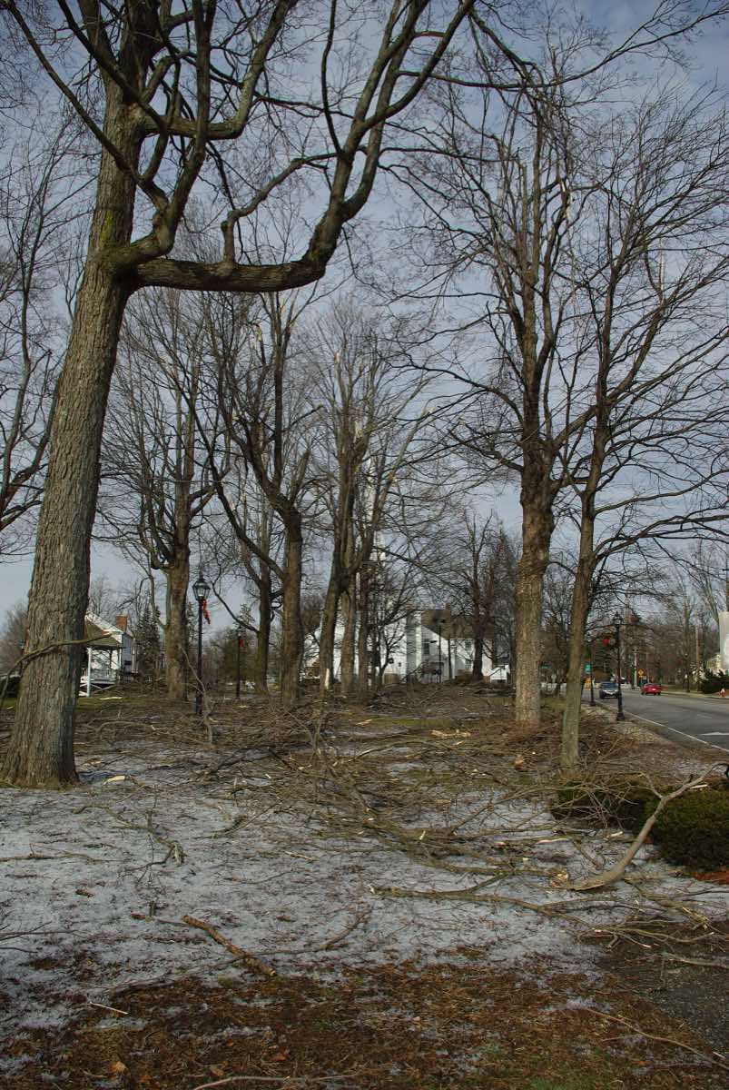 Landscape near Shrewsbury, Massachusetts