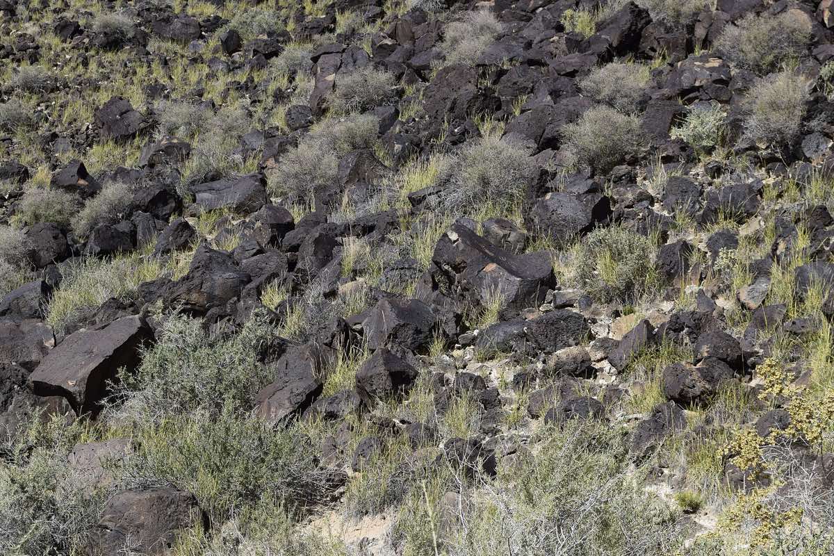 Landscape near Albuquerque, New Mexico