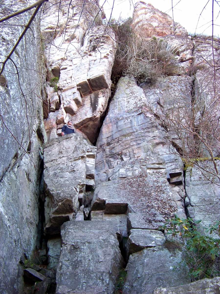 Scenery near the Pilot Mountain Goat course in Pinnacle, North Carolina