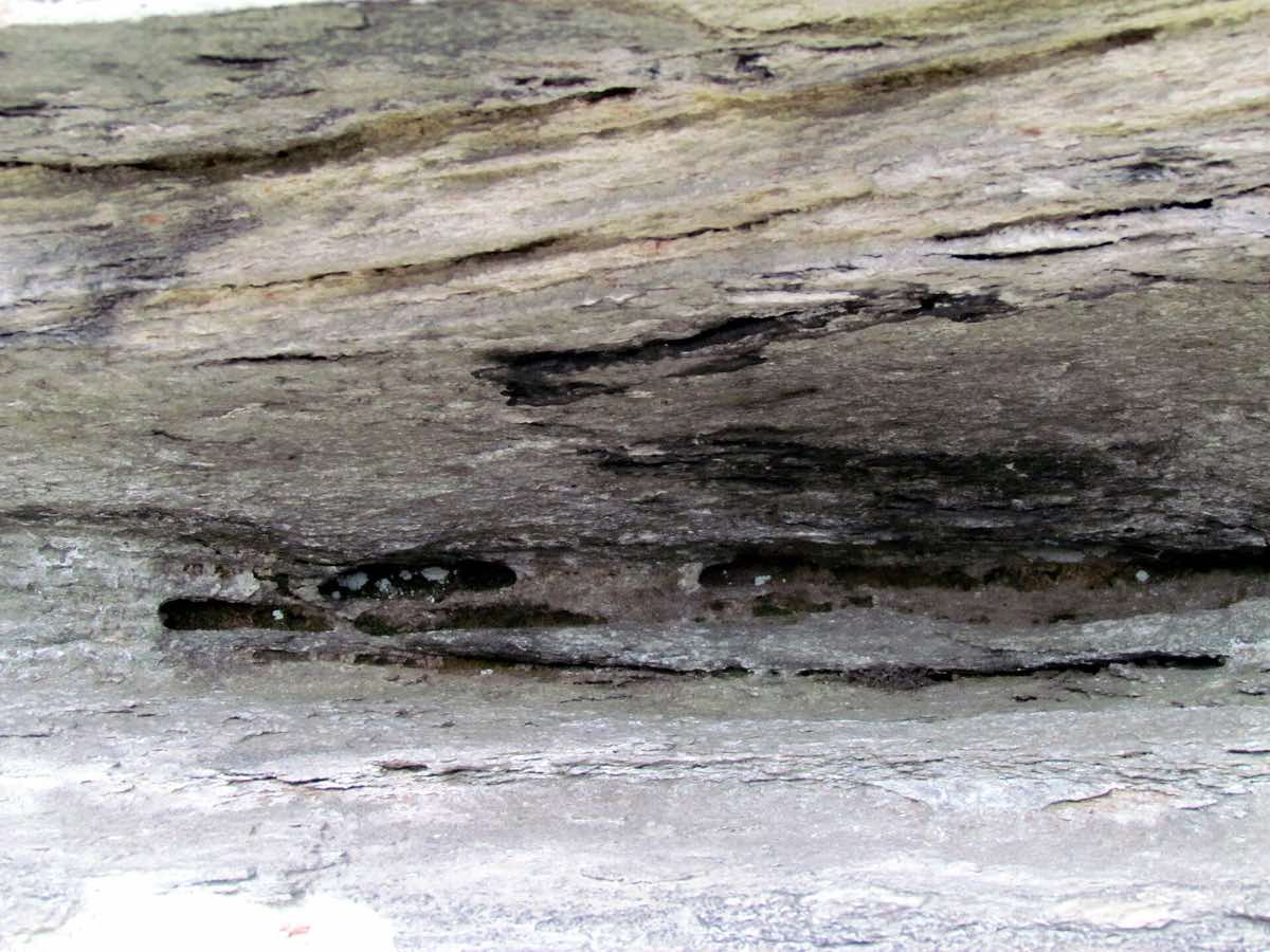 Landscape near Pinnacle, North Carolina