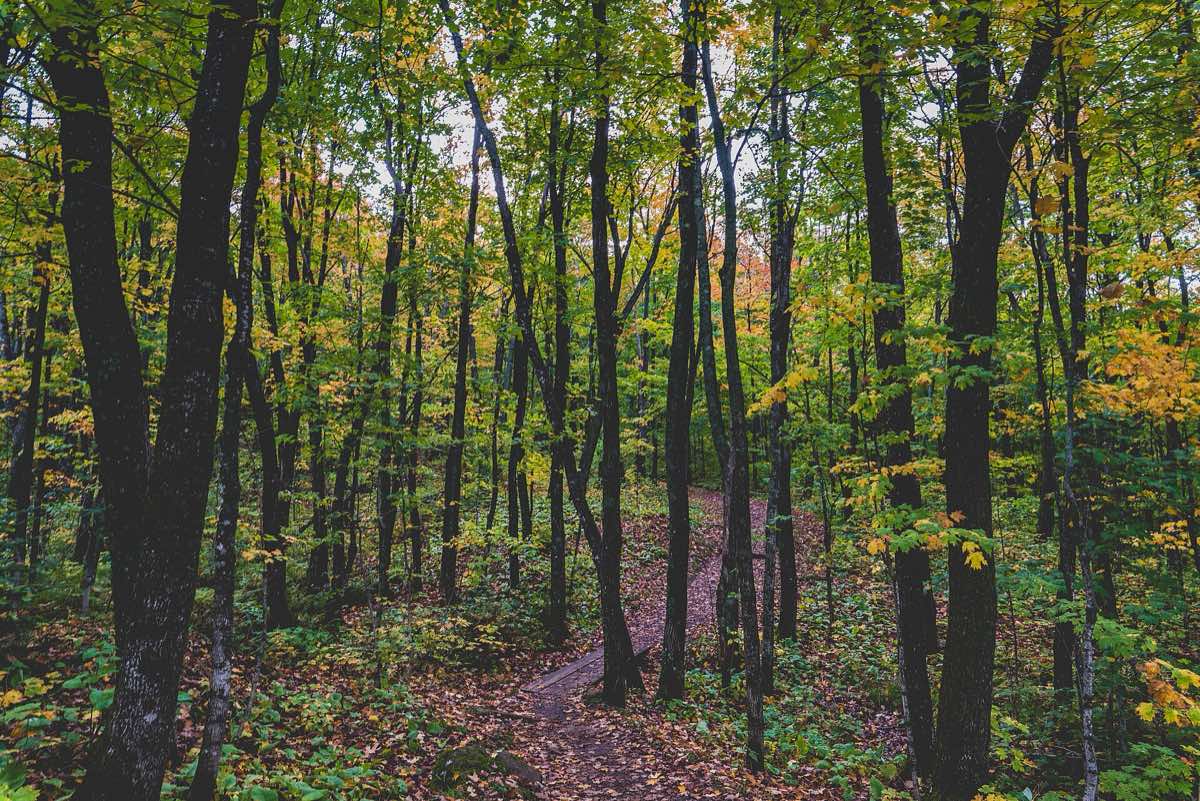 Landscape near Lutsen, Minnesota
