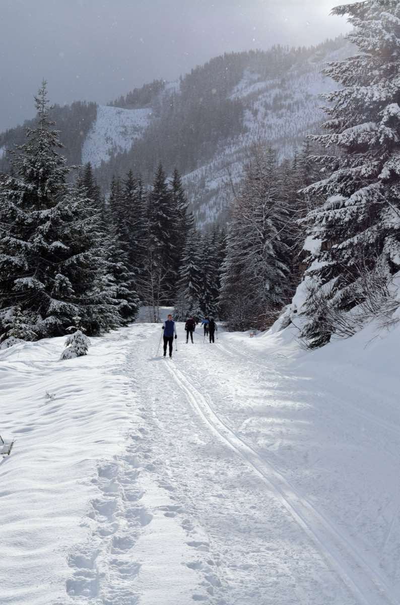 Scenery near the Tunnel Light Marathon & Half Marathon course in North Bend, Washington
