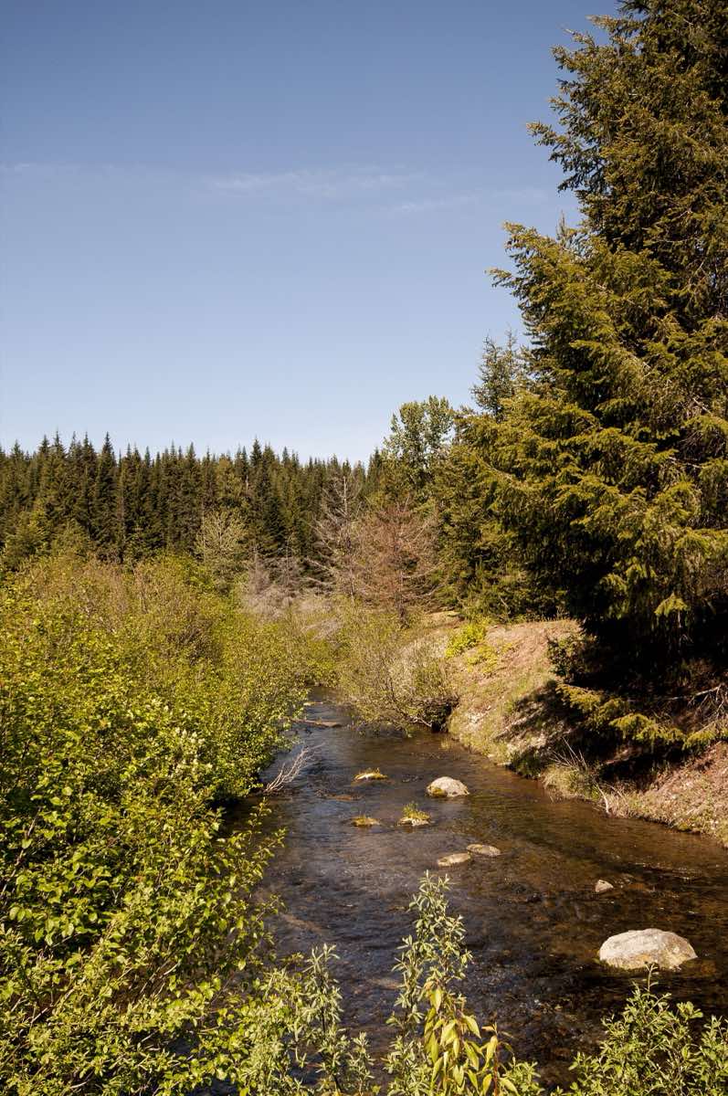 Landscape near North Bend, Washington